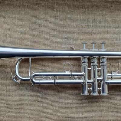 D. Calicchio DT-S1s/3M Dave TRIGG Model | Gamonbrass trumpet image 11