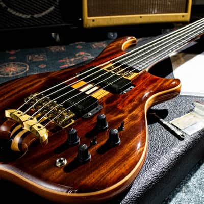 ALEMBIC MJLB5F Signature Standard 2010 image 23