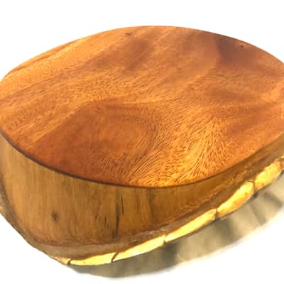 Electric turtle shell space drum | Reverb