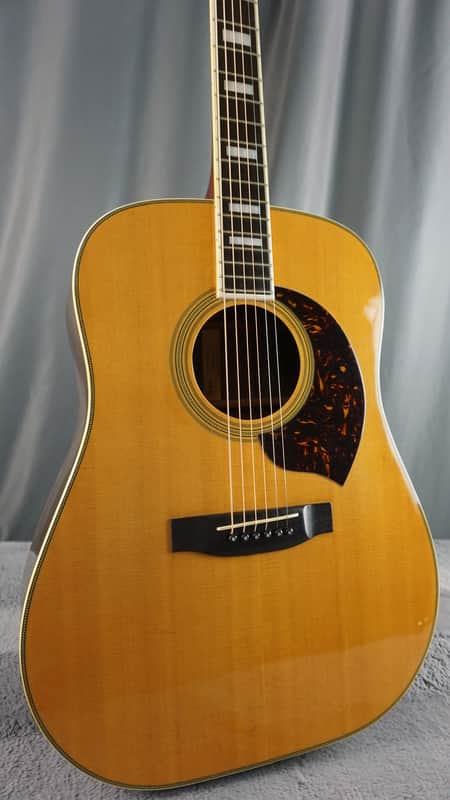 Yamaki B50 1970s Japan Western Style Acoustic image 1