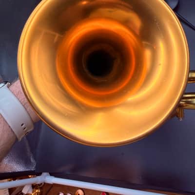 Taylor Orpheus II 2000’s - Gold Lacquer image 11
