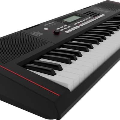 Roland E-X10 61-Key Touch Sensitive Arranger Keyboard image 3