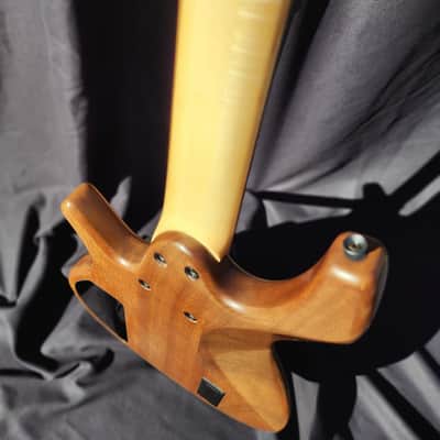 Overwater Progress Series IV Custom 5 String Fretless image 6