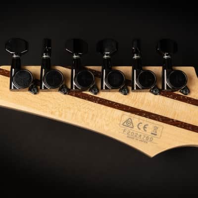 2020 Ibanez J. Custom RG8570Z-BRE with Ebony Fretboard - Black Rutile | Japan Custom Shop "AAA" Flame Top Tree of Life DiMarzio HSH Pickups Push/Pull Coil Split RG-8870 Upgrade | CoA OHSC image 16