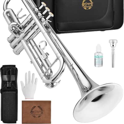 Bb Trumpet for Beginners, Brass Student Trumpet Kit with Case, 7C Mouthpiece, Cleaning Kit, Standard B Flat Instrument - Nickel image 1