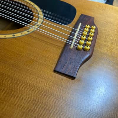 Simon and Patrick S and P Cedar 12 String Acoustic - Includes Hardshell Case! image 15
