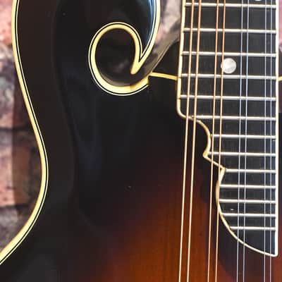 Kentucky Dawg Mandolin image 15