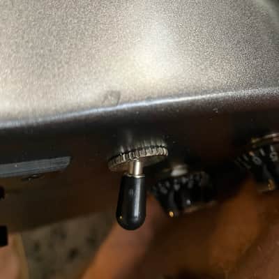 Gibson SG Standard 2022 - "Bats In Flight" image 13