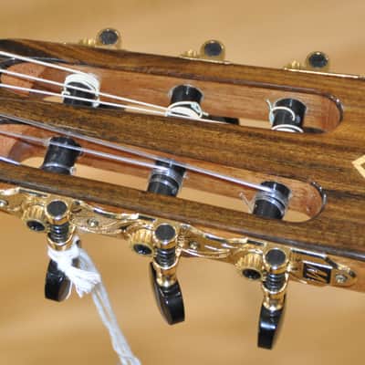 MARTINEZ MP-14 Ziricote / Crossover Nylon / Echo PU System (Sounds Effects Integrated) / MP14-ZI image 7