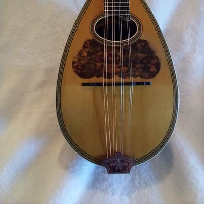 Washburn Model 130 1895-1900 - Gloss image 7