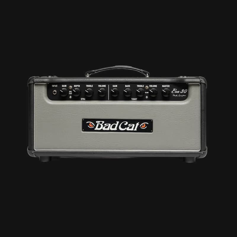 Bad Cat Era 30 Mark Sampson's 30-watts Head Amp - Gray image 1
