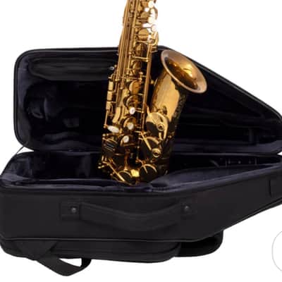 Selmer Limited Edition Selmer Paris Signature New York City Model Alto Saxophone 2026 - Elkhart Dark Lacquer image 11