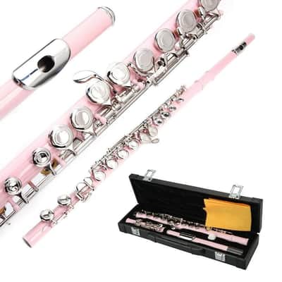 Cxxss Pink School Band Student 16 Hole C Flute Set With Case & Accessories Gift image 2