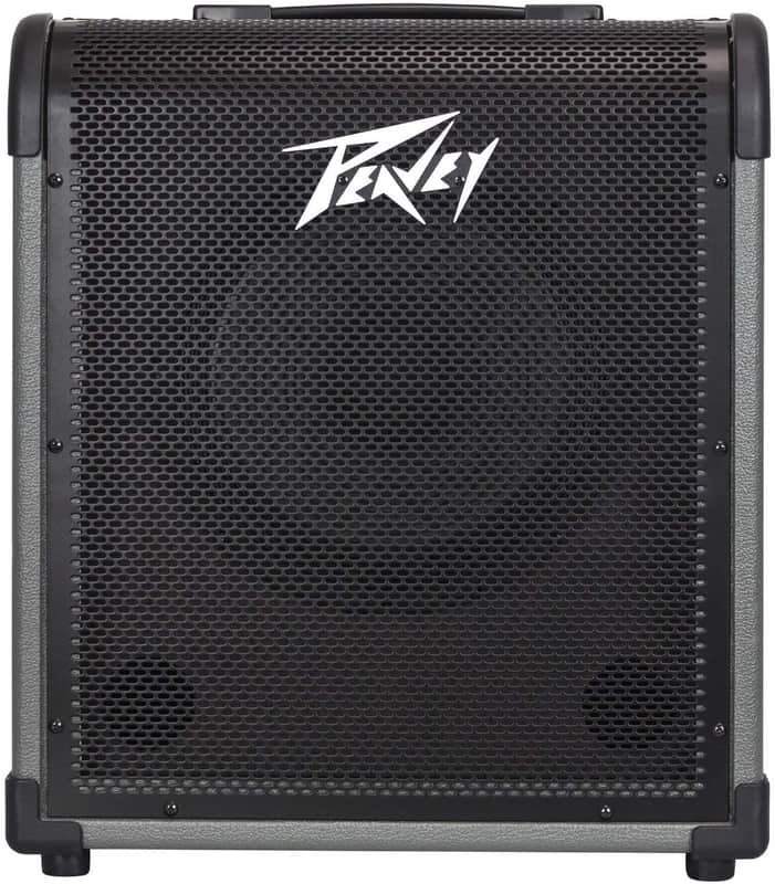 Peavey MAX 100 100-Watt Bass Amp Combo image 1