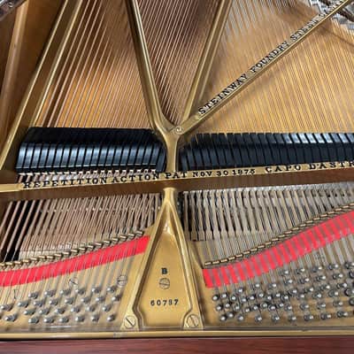 Steinway Model B 6'11" Grand Piano 1888 (Restored) - Satin Brazilian Rosewood image 14