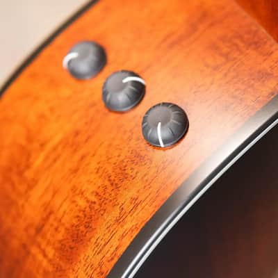 Taylor 324ce Baritone-8 LTD Grand Auditorium Acoustic/Electric Guitar with Hardshell Case image 9
