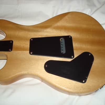 PRS SE CE24 - Blood Orange - PRS Gig Bag image 8