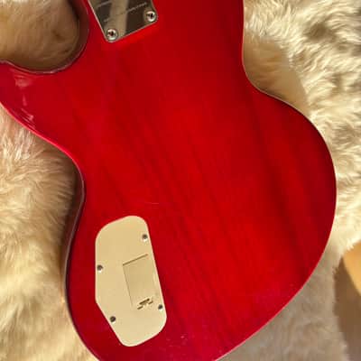 Epiphone Slash AFD Les Paul Special II image 5