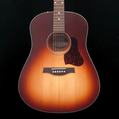 Seagull Entourage Autumn Burst Dreadnaught image 1