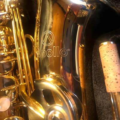 Apollo AAS 23 Student Alto Saxophone - Gold Lacquer image 7