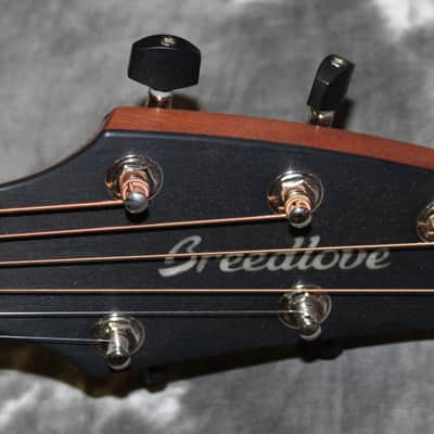 2022 Breedlove - Premier Concert CE Limited Edition - Natural High Gloss image 4