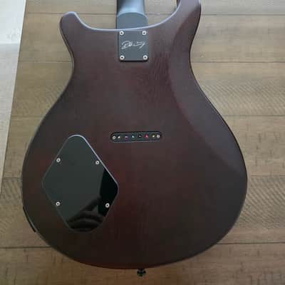 PRS Dustie Waring Signature CE 24 Hardtail 2023 image 10