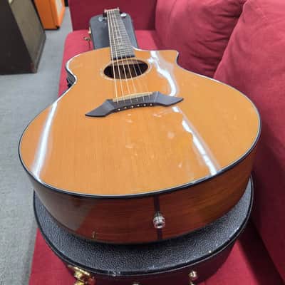 Breedlove Focus Acoustic Electric with Case 2001 - Natural image 8