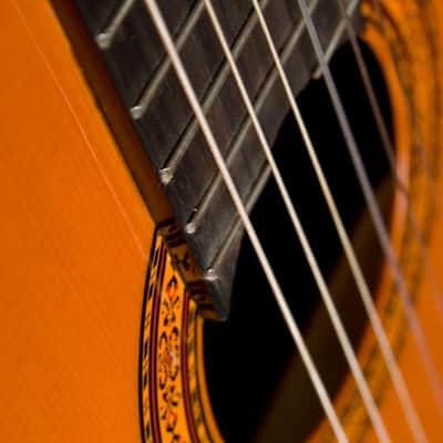 Washburn C5-WSH-A Classical Series Nylon-String Classical Acoustic Guitar image 3