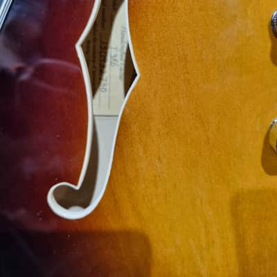 Eastman T386 2010s - Sunburst image 3