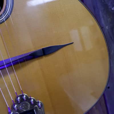 DuPont MD50 Gypsy Jazz Petite Bouche 2014 image 14
