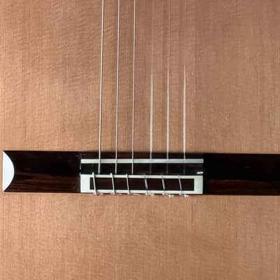 SAERS M700 Cedar+Spruce Double Top 2024 - French Polish image 2