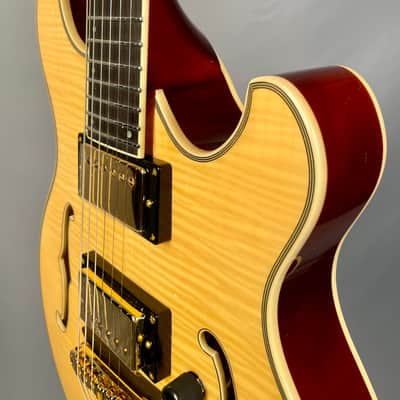 Eastwood Classic 6 TA PH Languedoc Anastasio Style Hollowbody Natural image 8
