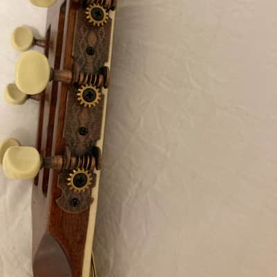 Washburn R318SOWK Parlor Spruce/Trembesi R314KK **RARE INLAYS 49 of 250! image 17