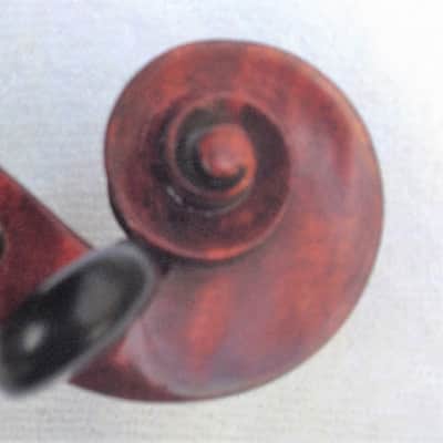 A French violin varnished in the Italian Monzino shop image 3