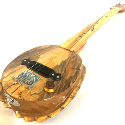 3 string Turtle shell slide guitar image 11