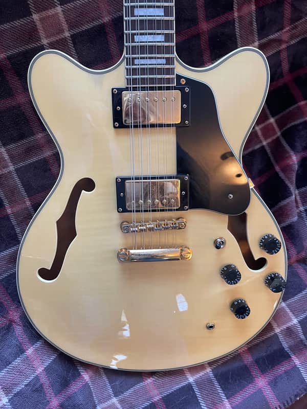 Agile AS820 12 String Semi-hollow Electric Guitar image 1