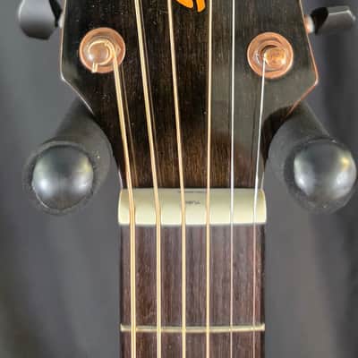 Breedlove Pursuit EX S Concert TE CE 2023 - Tigers Eye image 4
