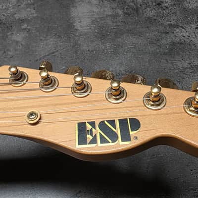 ESP Telecaster Custom Shop TE HH Fender Headstock Troublemaker LP 4-Knob MIJ Japan Tele Mahogany Body Maple Cap Pro Artist Vintage Guitar Deluxe Abalone Dot Inlays image 3