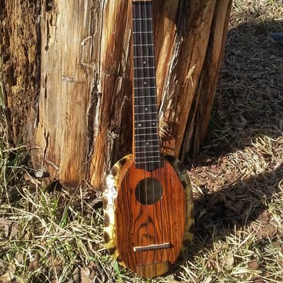Turtle shell ukulele image 1