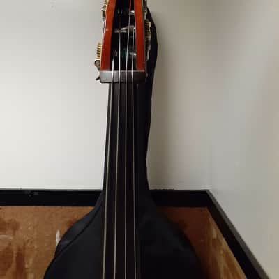 Eastman Upright Bass VB80 image 10