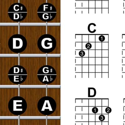 New Song Music Laminated Guitar Fretboard & Chord Chart Instructional Poster 11x17 Beginner Easy image 4