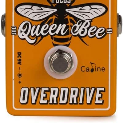 Caline CP-503 Queen Bee Overdrive 2024 - Orange image 1