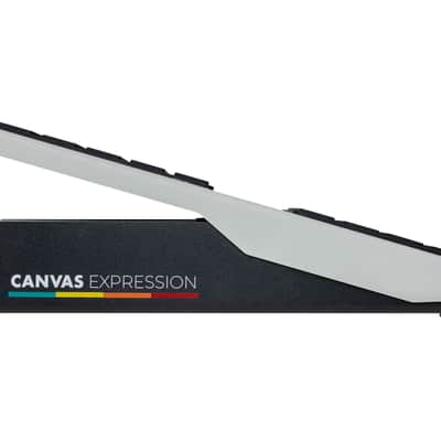 Walrus Audio Canvas Expression Expression Pedal image 8