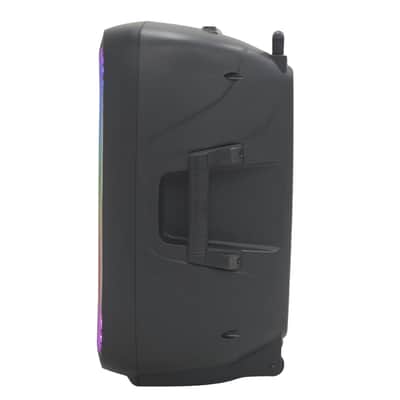 Dolphin SP-2115R 15" Professional Party Speaker with XLR inputs and more image 2