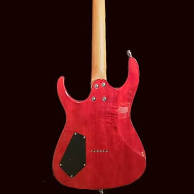 Leo Jaymz Monsoon/Gold Burl Resin/Free Shipping/Set Up/Dual Humbuckers image 7