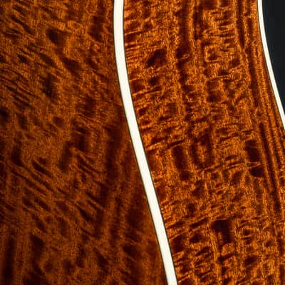 Bourgeois Banjo Killer Slope D Figured Beeswing Mahogany and Bearclaw Sitka Spruce NEW image 18