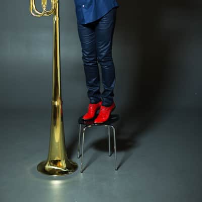 Subcontrabass Trumpet Nartiss NATU711-1 image 1
