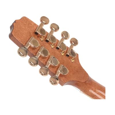 Gold Tone OM-800+ Octave Mandolin - Open Box image 5