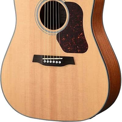Walden D550CE Natura Solid Spruce Top Dreadnought Acoustic Cutaway-Electric Guitar - Open Pore Satin Natural image 1