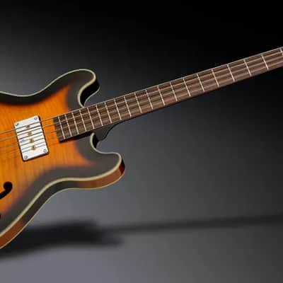 Warwick RockBass Star Bass, 4-String - Vintage Sunburst Transparent High Polish image 13